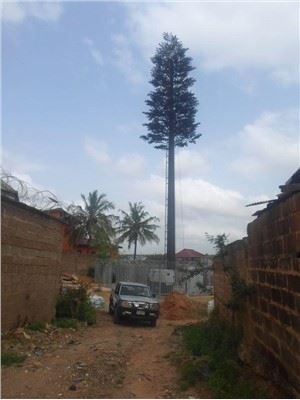 Penampilan elegan dan Bionic Palm Tree Telecom Tower